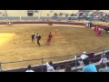 PETA Supporter Rushes to Help Dying Bull During Bullfight