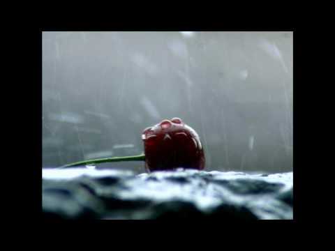 Disappear Without a Trace Video
