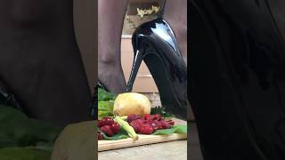 Cat Pumps Vs. Onion Oddly Satisfying Heels Crushing Food Asmr