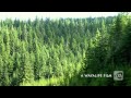 PACIFIC NORTHWEST : The 2014 JK-Experience Teaser Trailer
