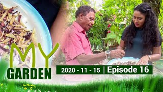 My Garden | Episode 16 | 15 - 11 - 2020