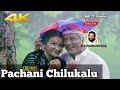Pachani Chilukalu || Bharateeyudu || Telugu Movie 4K Video Song Dolby Digital 5.1 Audio