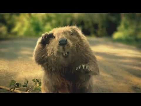 Bridgestone Commercial Beaver