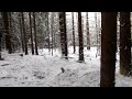 Neulovená liška