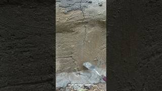 Pouring Cement Like A Pro Watch This Satisfying Build