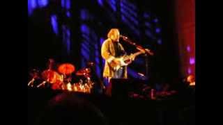 Watch Stephen Stills Wounded World video