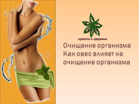 Овес очищение все организма Овес очищение все организма
