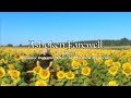 Ashoken Farewell - Hammered Dulcimer