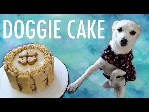 Video Cake Ingredients For A Dog