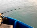 image Mancing Di Laut Kendal Ikan Tenggiri