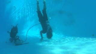 Petit exemple de Sub-training multidisciplines