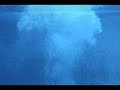 The Elements: Air/Water, Part 1:  video by Joel Meyerowitz