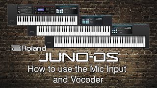 Roland Juno-DS - How to use the Mic Input and Vocoder