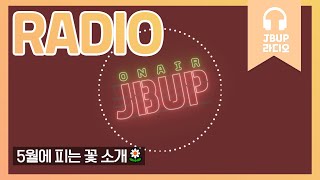 JBUP 중부 라디오 | 중부대학교 언론사가 들려주는 5월에 피는 꽃 소개