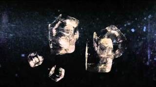 Watch Bee Flower Youre Not The Sun video