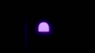Bugs and Daffy: The Movie Trailer