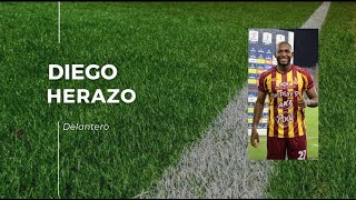 Zbr-luiSOMM Video Image
