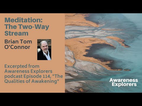Brian Meditations from Awareness Explorers