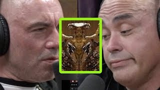 Eddie Bravo Exposes Luciferian Elements At Vatican