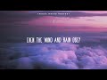 Watching video THE QUIET Science ~ Defiant Joy (White Horse)
