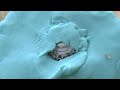 Thomas The Train Play Doh Thomas e Seus Amigos Guess The Engine Playdough Kids Toy Episode 12