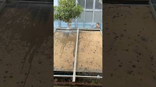 What Are The Newest Innovations In Solar Panel Cleaning?