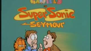 Garfield And Friends Le Card Theme
