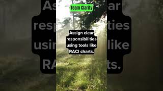 Project Management Tip Use A Raci Chart