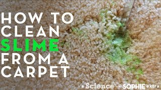 How To Clean Slime From a Carpet