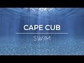 [LYRICS] Cape Cub - Swim