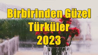 Birbirinden Güzel Türküler 2023 (KESİNTİSİZ - HD) #türkü #türküler #türkhalkmüzi