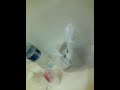 image Ngintip Prawan Kos Lg Mndi