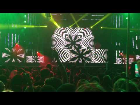 Скачать песню bassnectar butterfly