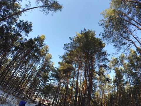 Типовий Коростишів.