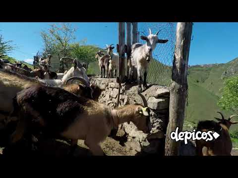 Vídeo turismo rural Asturias>