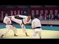 Explosive Karate - Tokyo Budokan Reopening Events 2012