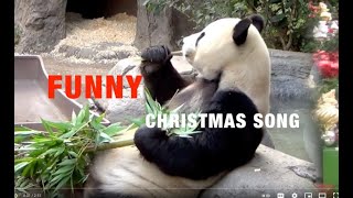 FUNNY Animals Sing, We Wish You A Merry Christmas Song - lyrics
