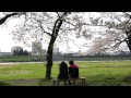 岩手の桜三景 -展勝地・盛岡城跡公園・髙松公園