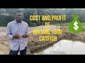PRODUCTION COST AND PROFIT OF ONE THOUSAND CATFISH FINGERLINGS  TO TABLE SIZE #catfishfarming #fish