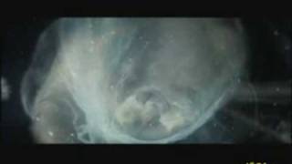 Watch Bjork Nature Is Ancient video
