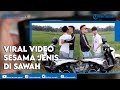 Viral Video Tak Senonoh Sesama Jenis di Sawah Banjarnegara, Link Gua Juliant Diburu Warganet