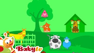 Baby Tv - Le Star And Trinoma Mall 3
