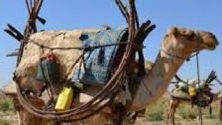 Abwaan Dhoodaan Gabay Aad U-Macaan