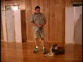 Dog Training - The Heel Command