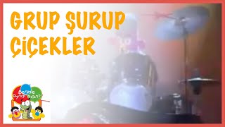 Grup Şurup Çicekler Benimle Oynar Mısın?