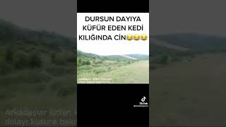 dursun dayiya küfür Eden kedi kılığında çin 😂😂