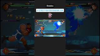 The Kings Of Shadaloo