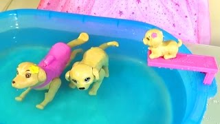 Кукла Барби и ЩЕНОЧЕК!!! Бассейн для собак Барби Barbie doll Puppy Chase dog play set