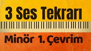 3 Ses Tekrarı Minör 1. Çevrim Müzik Yetenek Sınavlarına Hazırlık Üç Ses Çalışması
