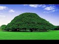New Raayyaa Abbaa Macca 21a Menzuma Affaan Oromo images New Raayyaa Abbaa Macca 21a Menzuma Affaan Oromo